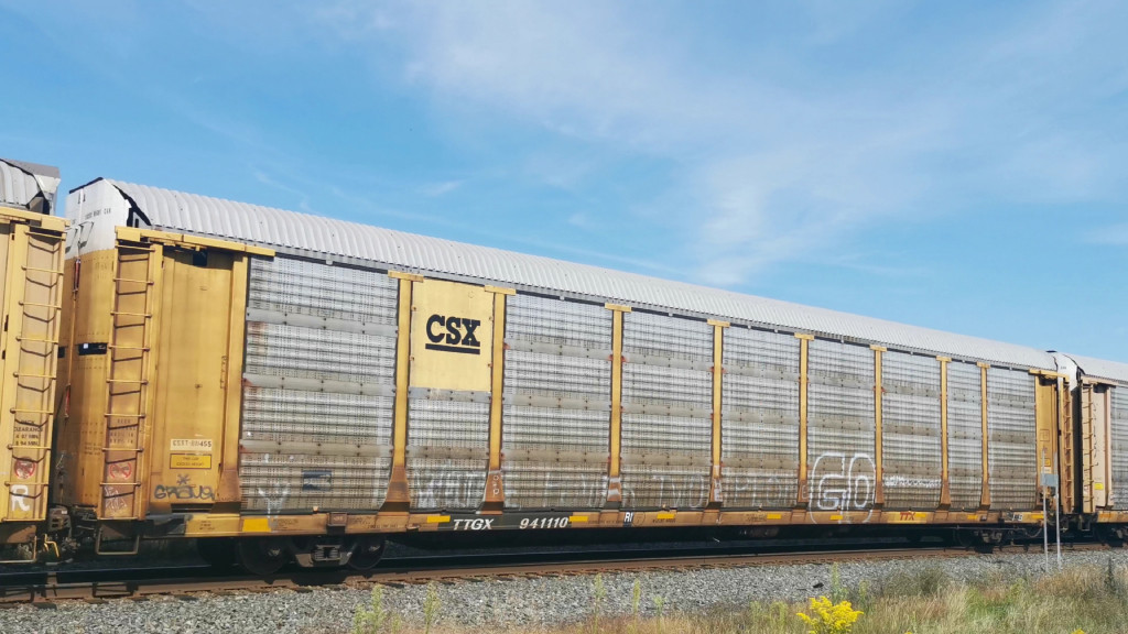 CSXT B11455 (Body) TTGX 941110 (Flat)